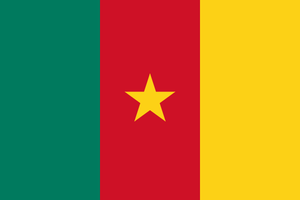 Flag of Cameroon.png