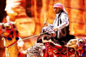 Beduin Camel.jpg