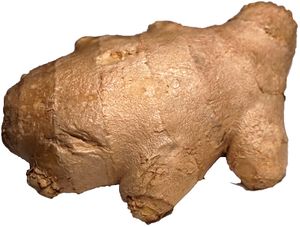 Ginger 2.jpg